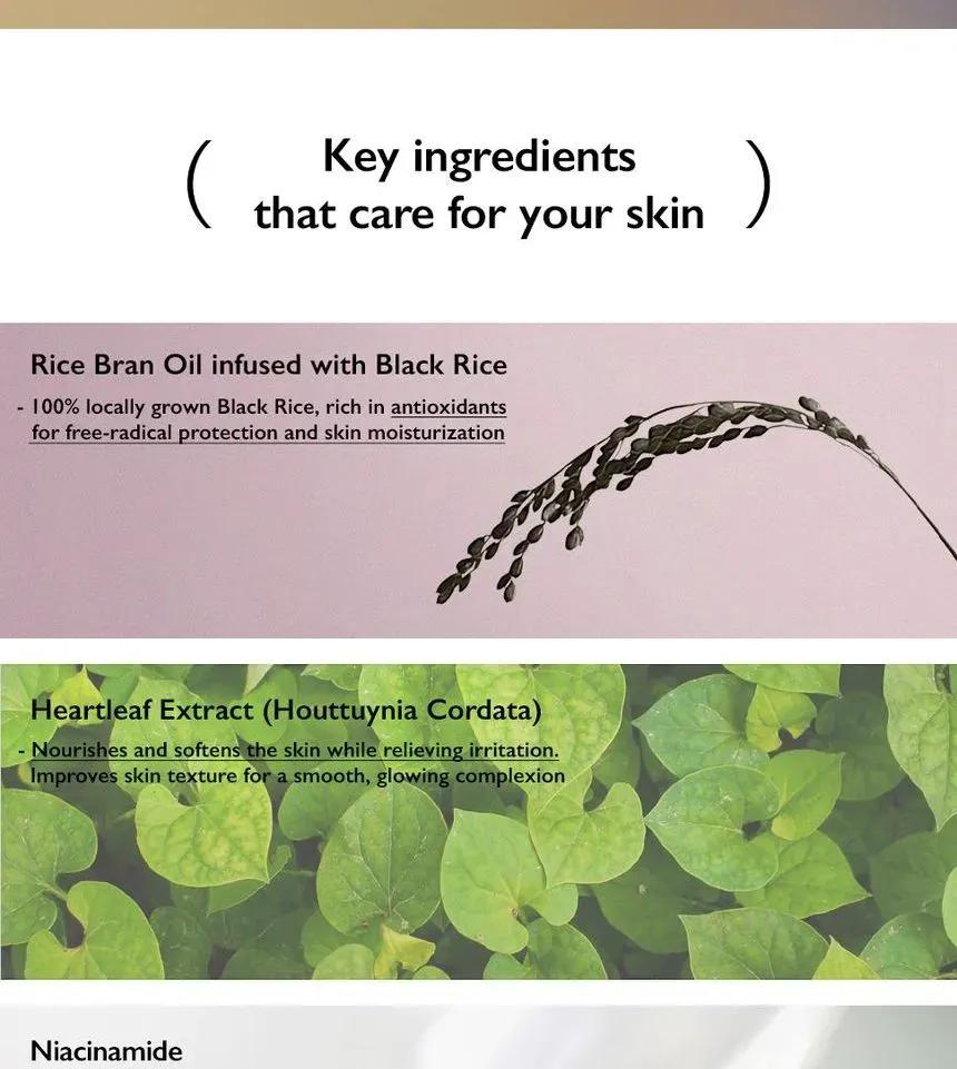 Black Rice Pure Mineral Relief Daily Sunscreen - Blush & Bloom