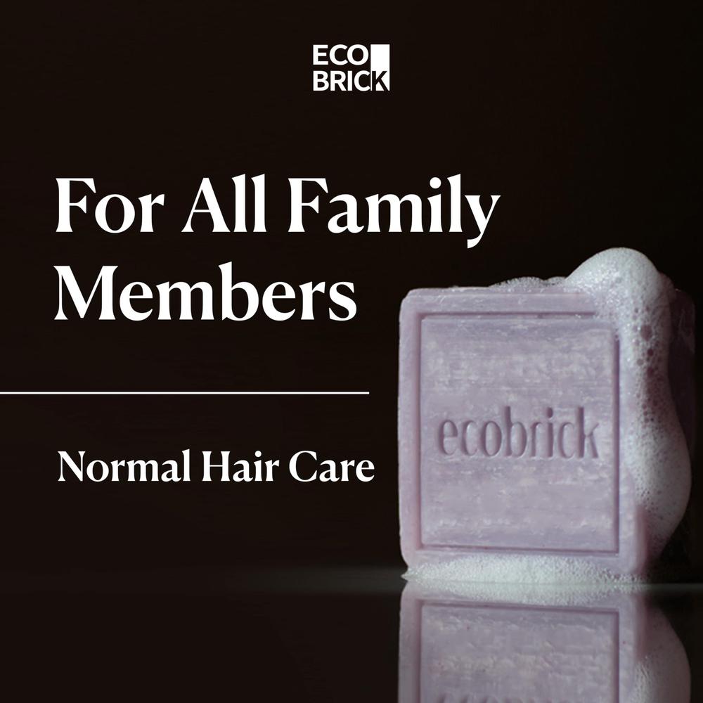 ECOBRICK Mild Acidic Shampoo Bar - Normal Hair Care - Blush & Bloom